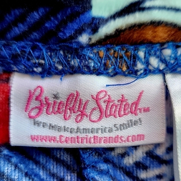 Breifly Stated Blue Plaid Christmas Holiday Sleep Pants Women's 3X Plus Size EUC - Picture 6 of 8